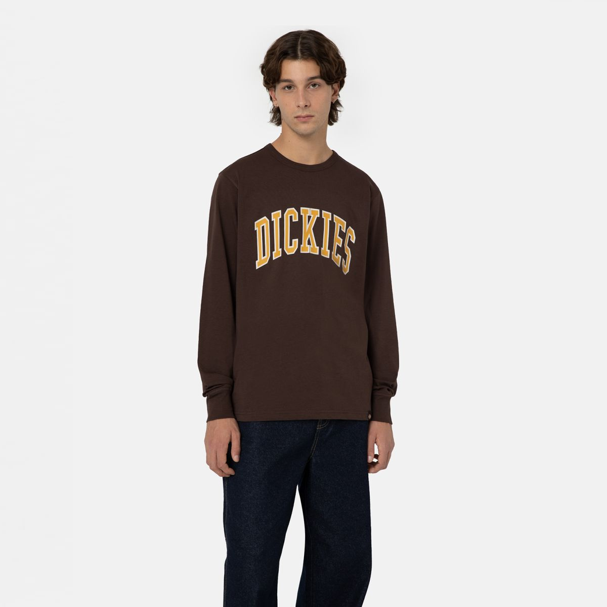 Dickies Maglietta a maniche lunghe Aitkin Java - 1