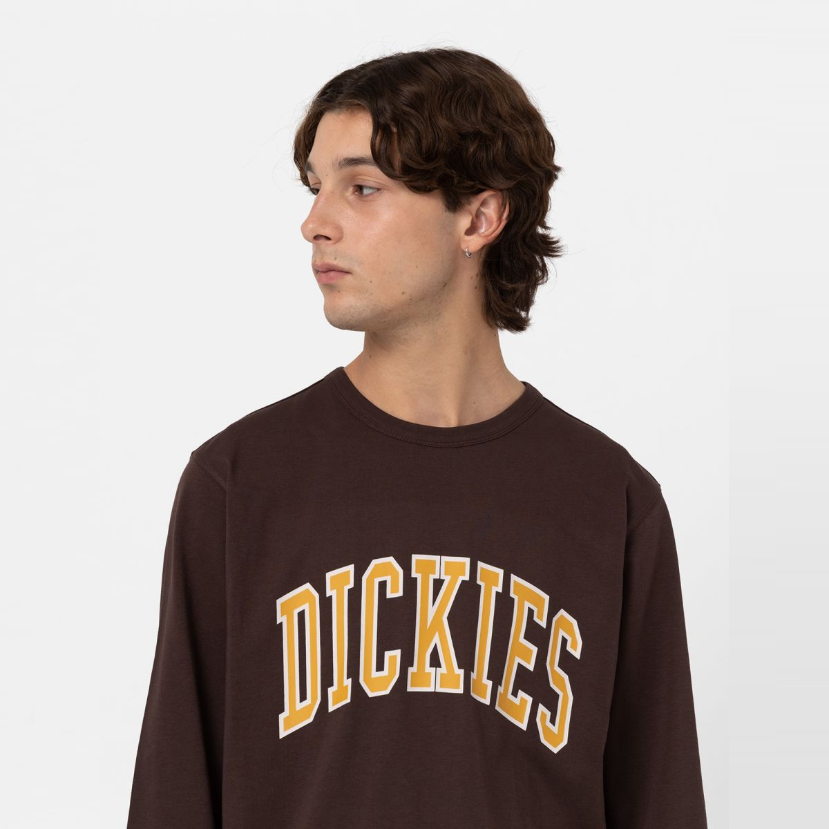 Dickies Maglietta a maniche lunghe Aitkin Java - 6