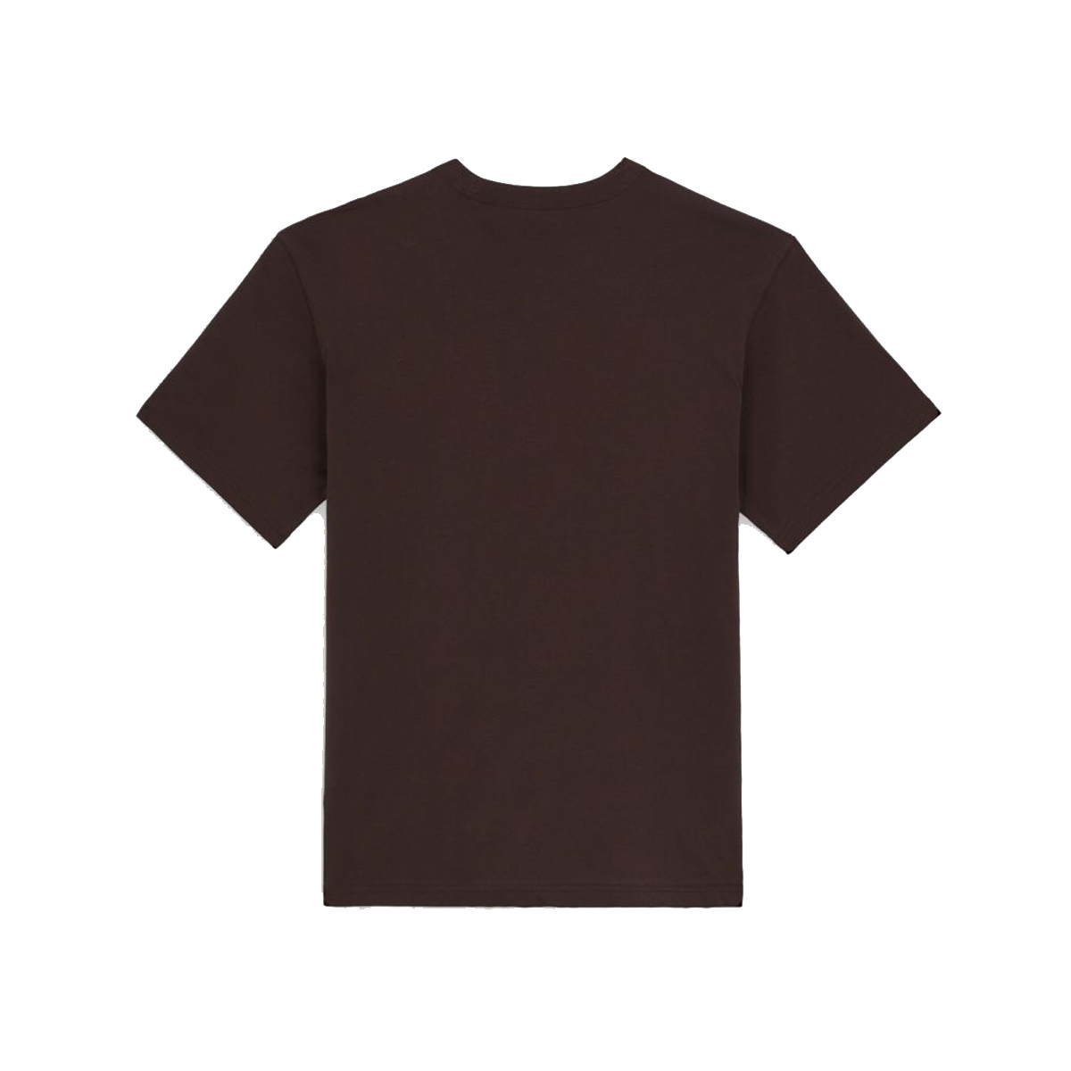 Dickies T-Shirt Sitkin Java - 4