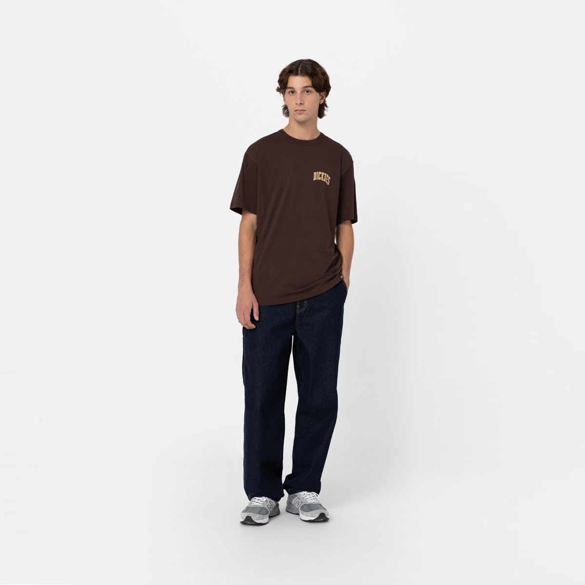 Dickies T-Shirt Sitkin Java - 5