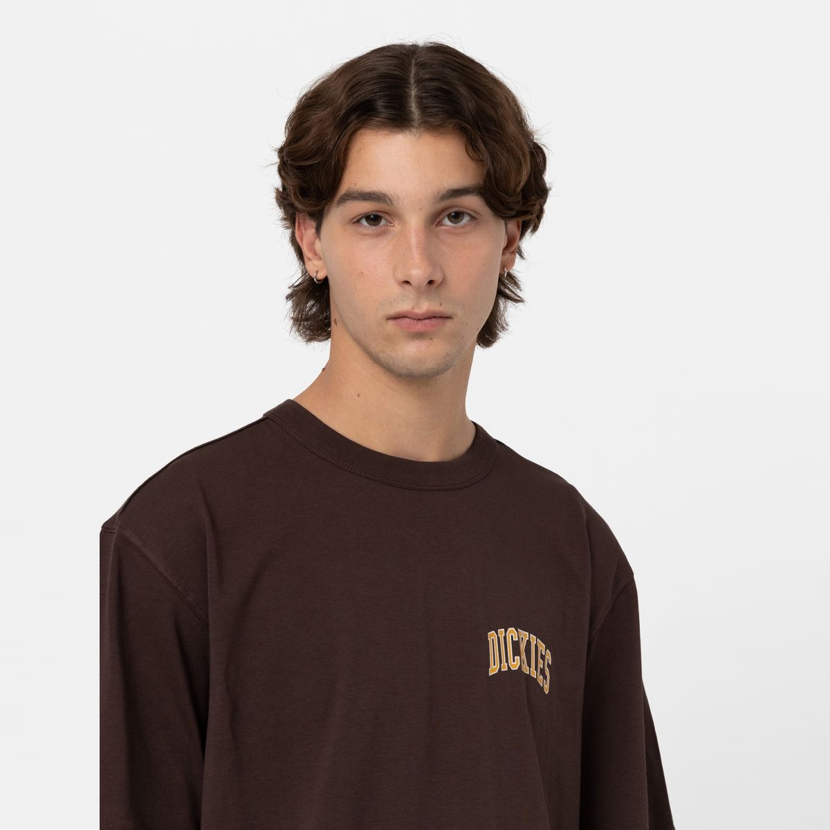 Dickies T-Shirt Sitkin Java - 6