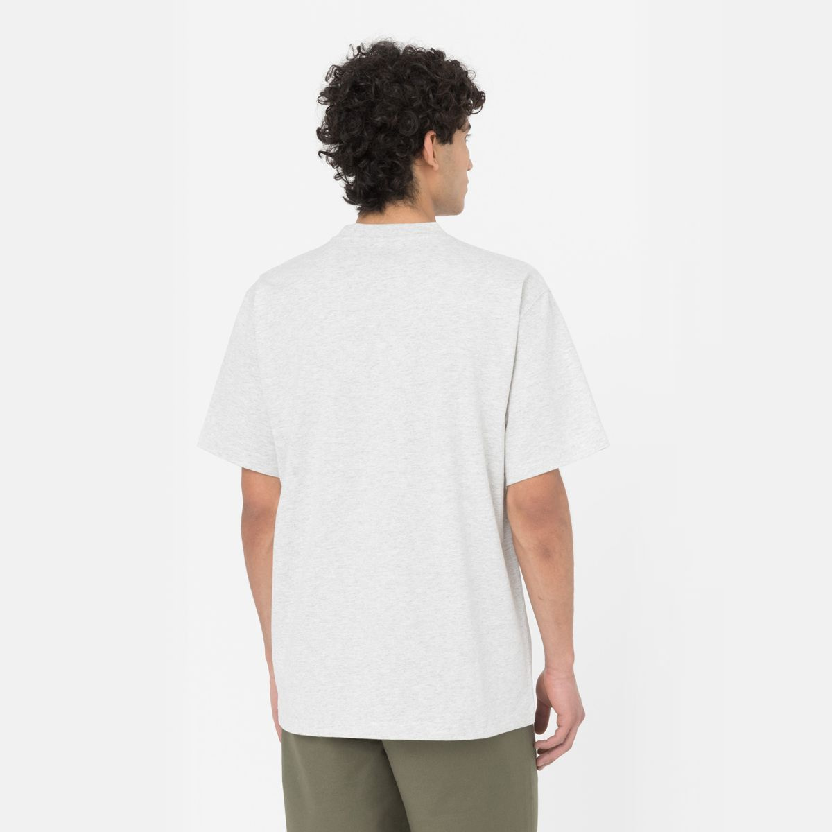 Dickies T-Shirt Summerdale Light Grey - 2