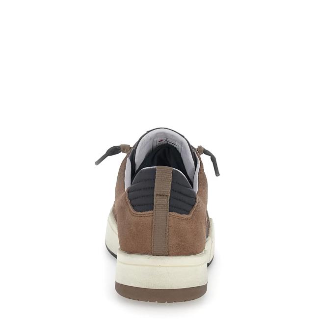Sneakers Hoop Stars Suede Caribou Brown All Black