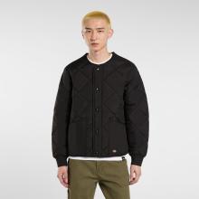 Dickies Giacca Liner Samburg Black - 3