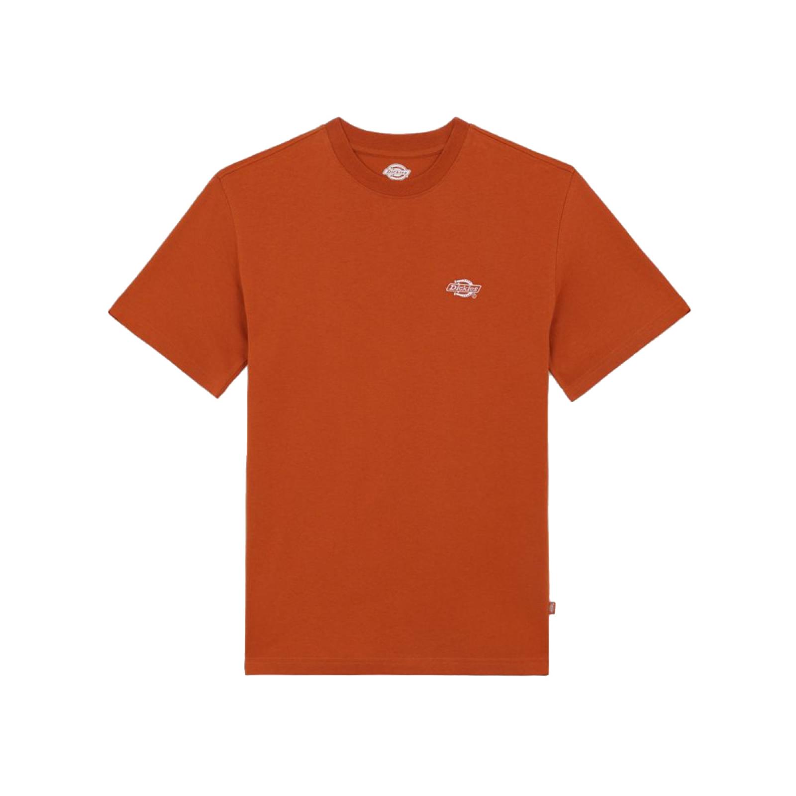 Dickies T-Shirt Summerdale Bombay Brown - 3