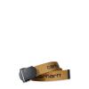 CARH Cintura Webbing Brown - 1