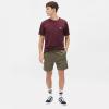 Dickies T-Shirt Mapleton Maroon - 4