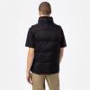 Dickies Gilet Waldenburg Black - 2