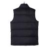 Dickies Gilet Waldenburg Black - 4