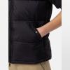 Dickies Gilet Waldenburg Black - 6