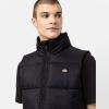 Dickies Gilet Waldenburg Black - 7