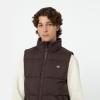 Dickies Gilet Waldenburg Java - 6