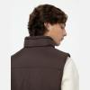 Dickies Gilet Waldenburg Java - 8