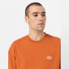 Dickies T-Shirt Summerdale Bombay Brown - 6