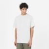 Dickies T-Shirt Summerdale Light Grey - 1