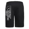 The North Face Pantaloncini Graphic Light TNF Black - 2